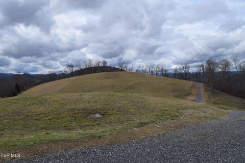 Vacant Land For Sale - 27.33 AC Big Springs Road<br/> Eidson, TN 37731