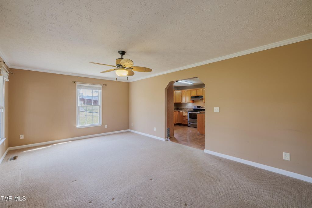 Photo of 137 Meadow Springs Lane, Mount Carmel, TN 37645 (MLS # 9991896)