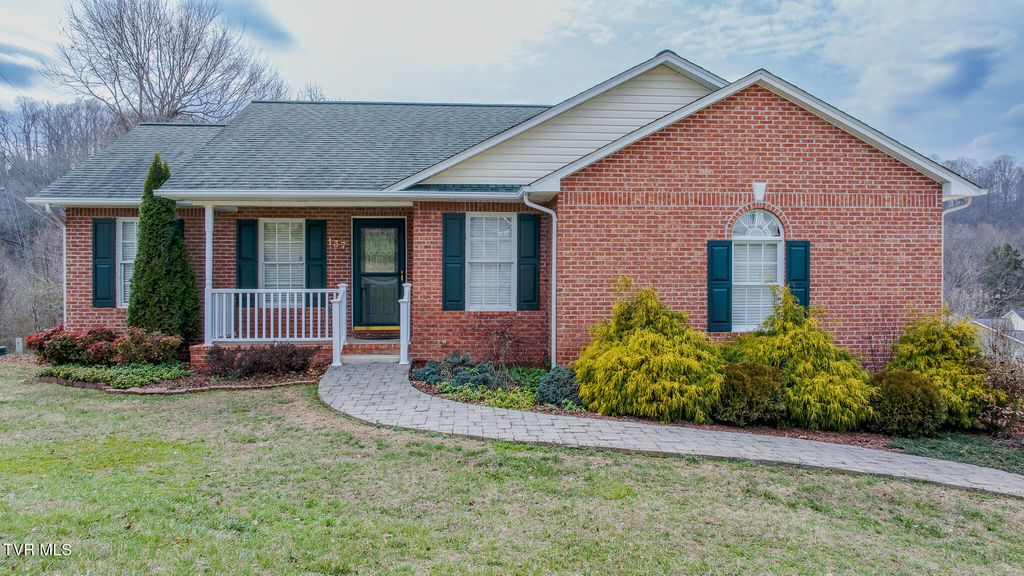 Photo of 137 Meadow Springs Lane, Mount Carmel, TN 37645 (MLS # 9991896)