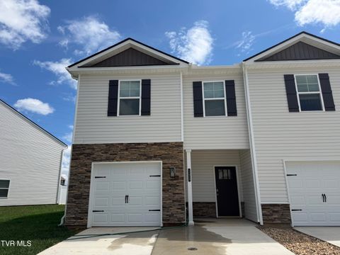 Townhouse For Sale - 125 Holt Way<br/> Blountville, TN 37617