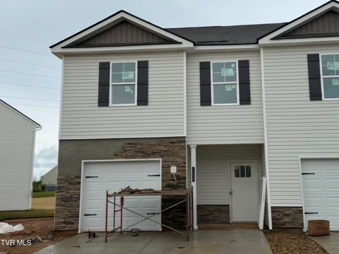 Townhouse For Sale - 125 Holt Way<br/> Sullivan County County, Blountville, TN 37617