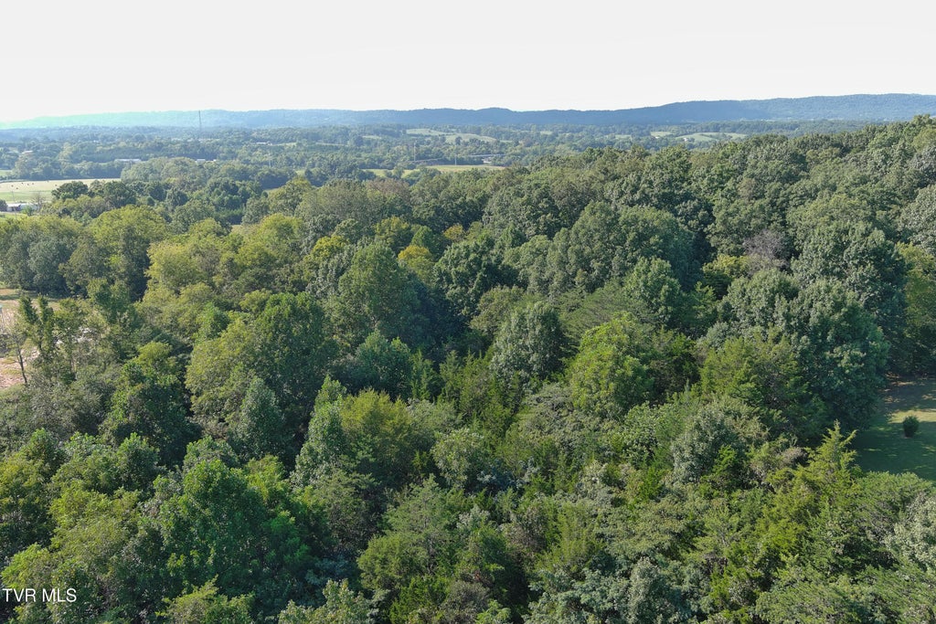 Photo of 000 Weems Chapel Road, Mosheim, TN 37818 (MLS # 10000953)