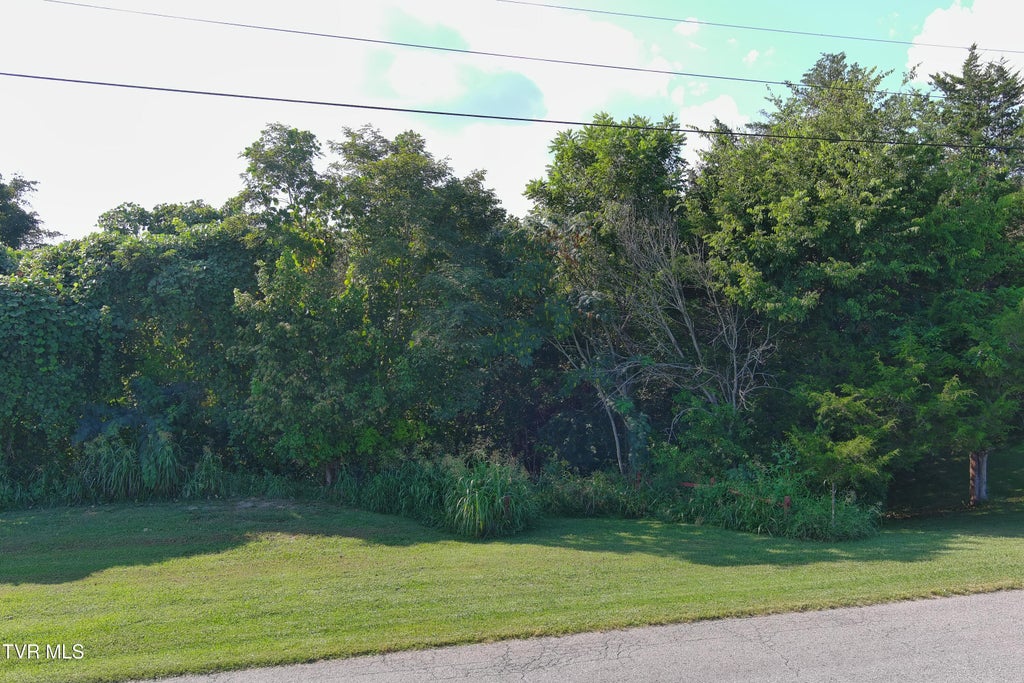 Photo of 000 Weems Chapel Road, Mosheim, TN 37818 (MLS # 10000953)