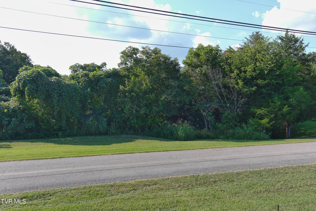 Photo of 000 Weems Chapel Road, Mosheim, TN 37818 (MLS # 10000953)