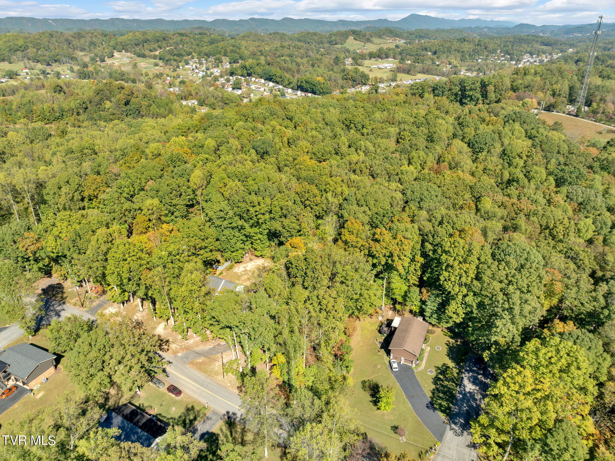 704 Dover Avenue, Mount Carmel, Tennessee image 17