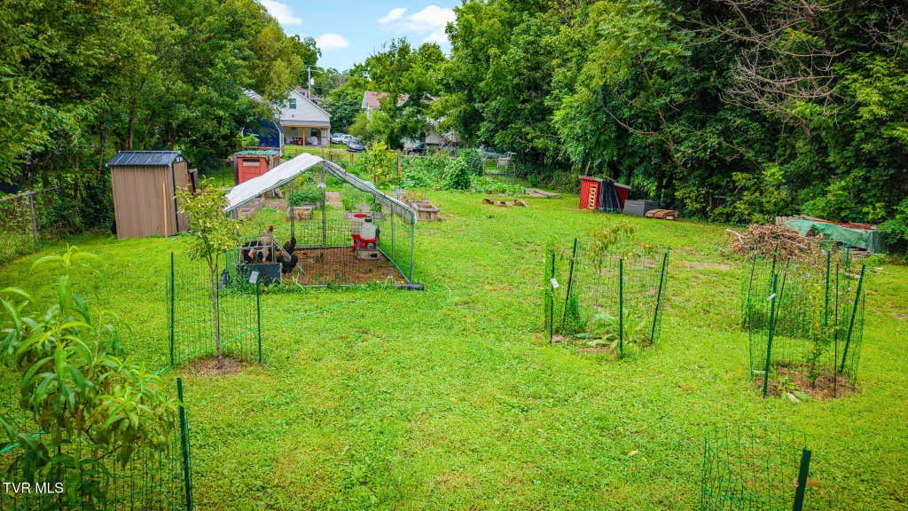 Photo of 120812 Claiborne Street, Johnson City, TN 37601 (MLS # 9999524)