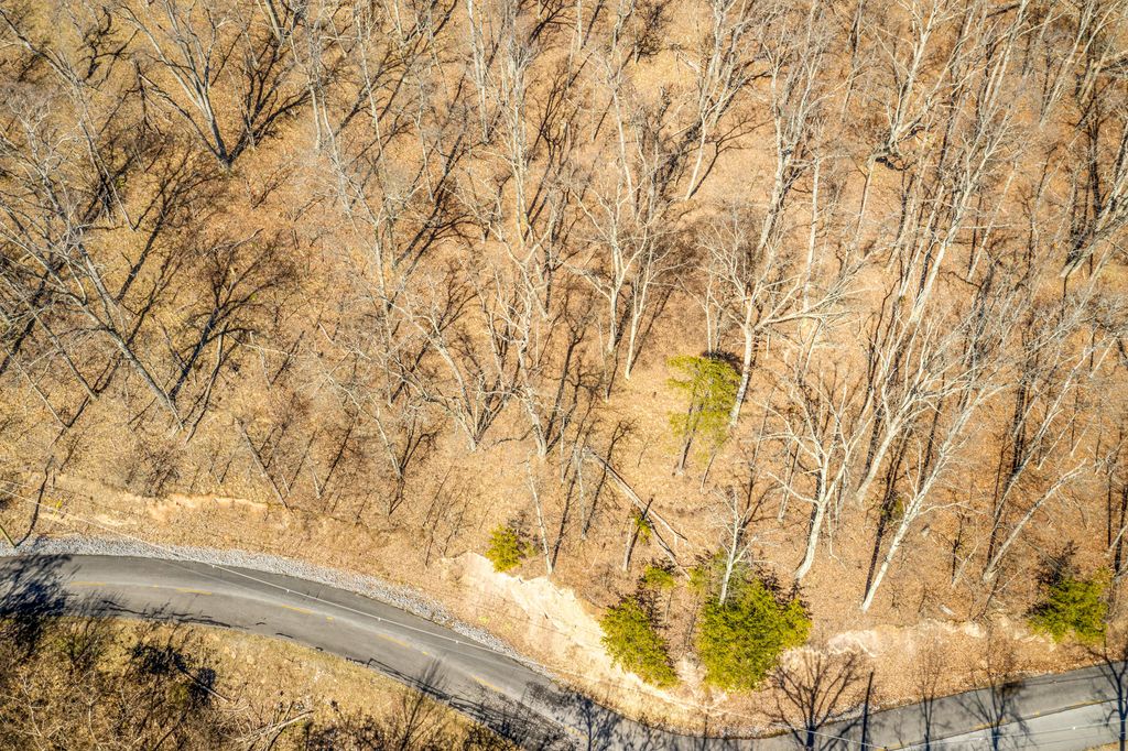 Photo of 1167 Keetoowah Drive, Mooresburg, TN 37811 (MLS # 9984548)