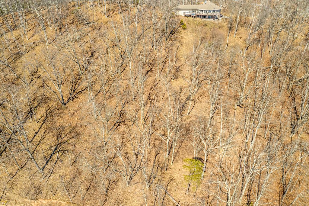 Photo of 1167 Keetoowah Drive, Mooresburg, TN 37811 (MLS # 9984548)