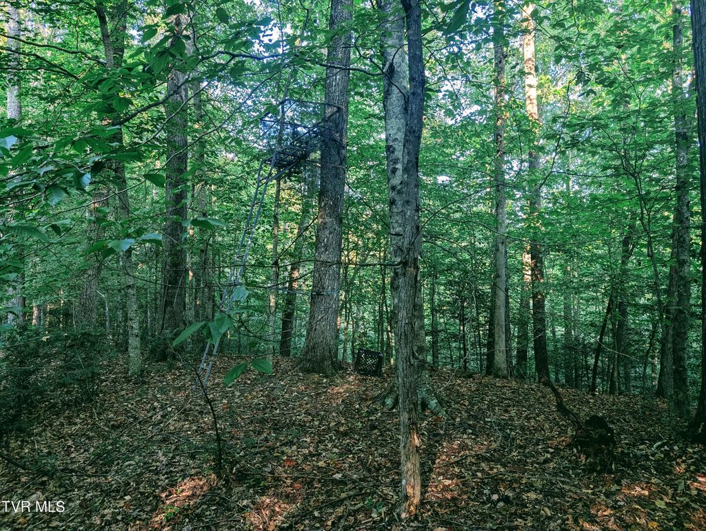 Photo of Tbd Blowing Rock, Haysi, VA 24256 (MLS # 9986859)