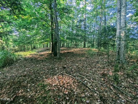 Vacant Land For Sale - TBD Blowing Rock<br/> Dickenson County, Haysi, VA 24256