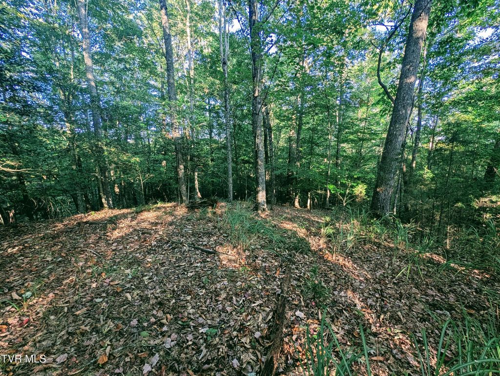 Photo of Tbd Blowing Rock, Haysi, VA 24256 (MLS # 9986859)