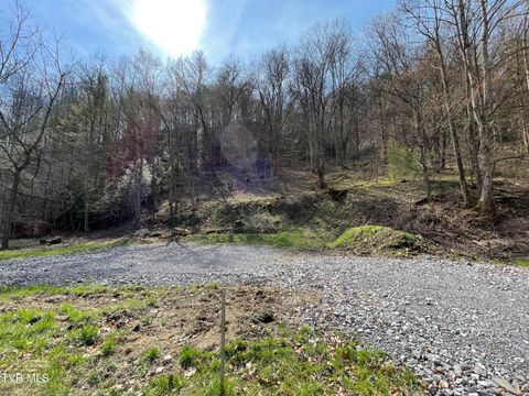 Vacant Land For Sale - TBD Sawmill Hollow Road<br/> Russell County, Dante, VA 24237