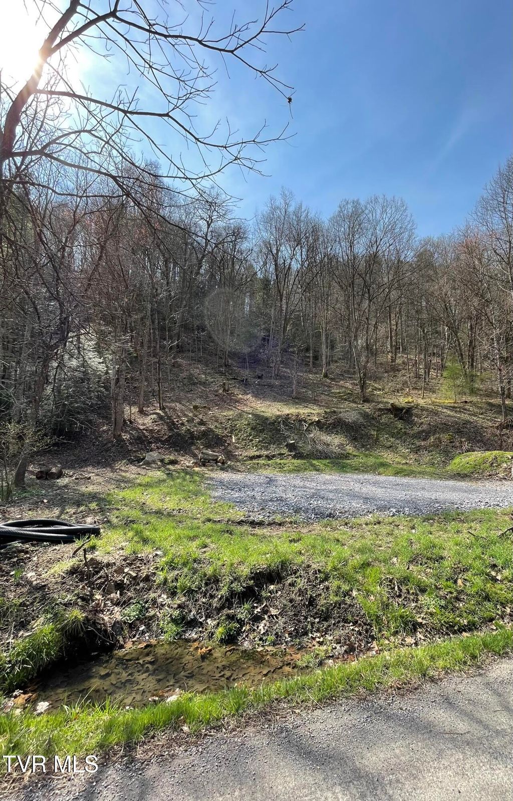 Photo of Tbd Sawmill Hollow Road, Dante, VA 24237 (MLS # 9992400)