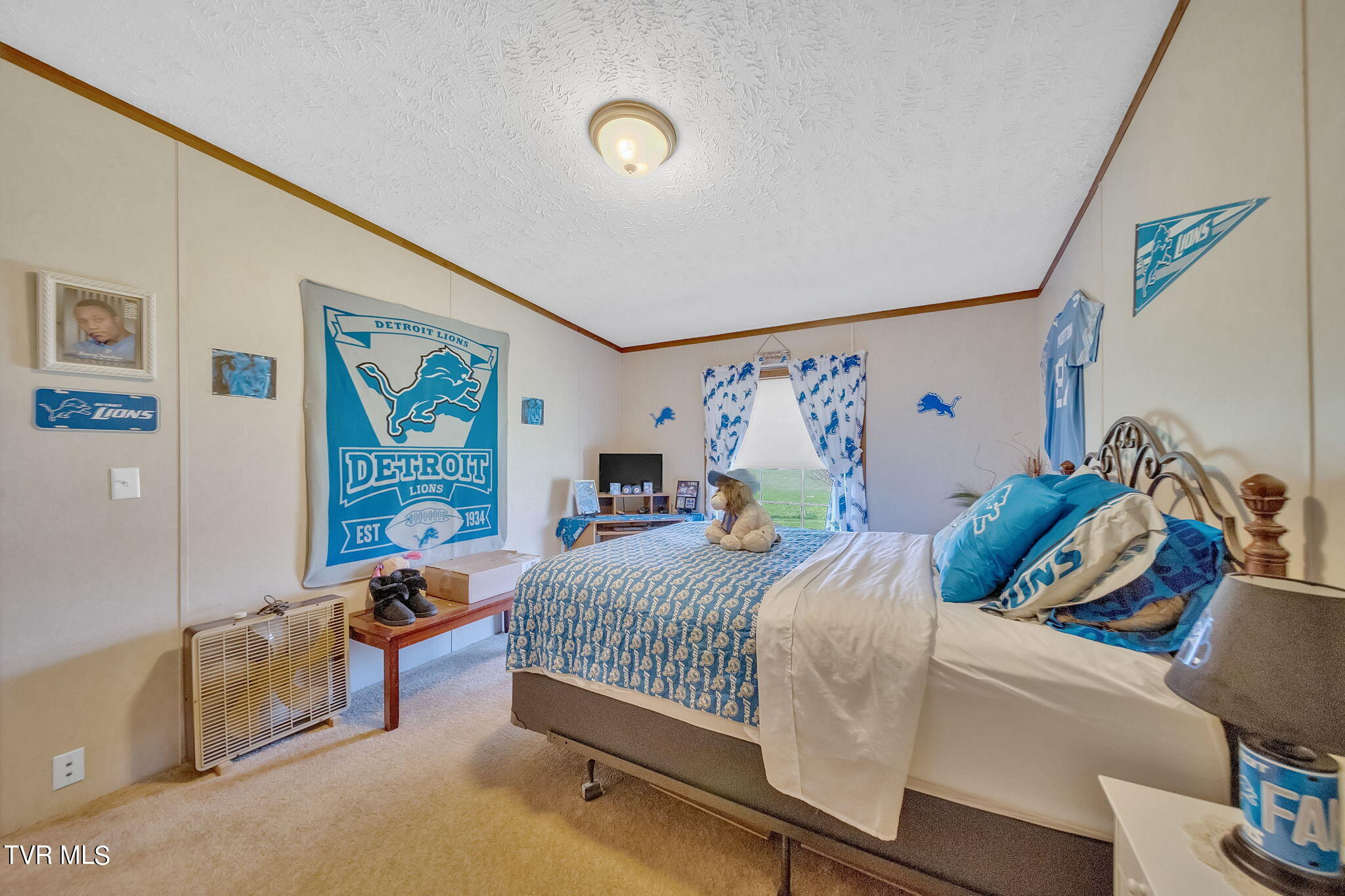 460 Ebenezer Loop, Chuckey, Tennessee image 26