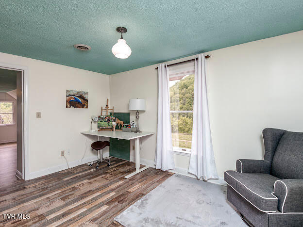 26354 Pewter Lane, Abingdon, Virginia image 48