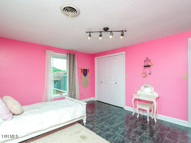 26354 Pewter Lane, Abingdon, Virginia image 50