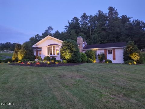 14135 West Highway 67 (30.82 Acres) Butler TN 37640