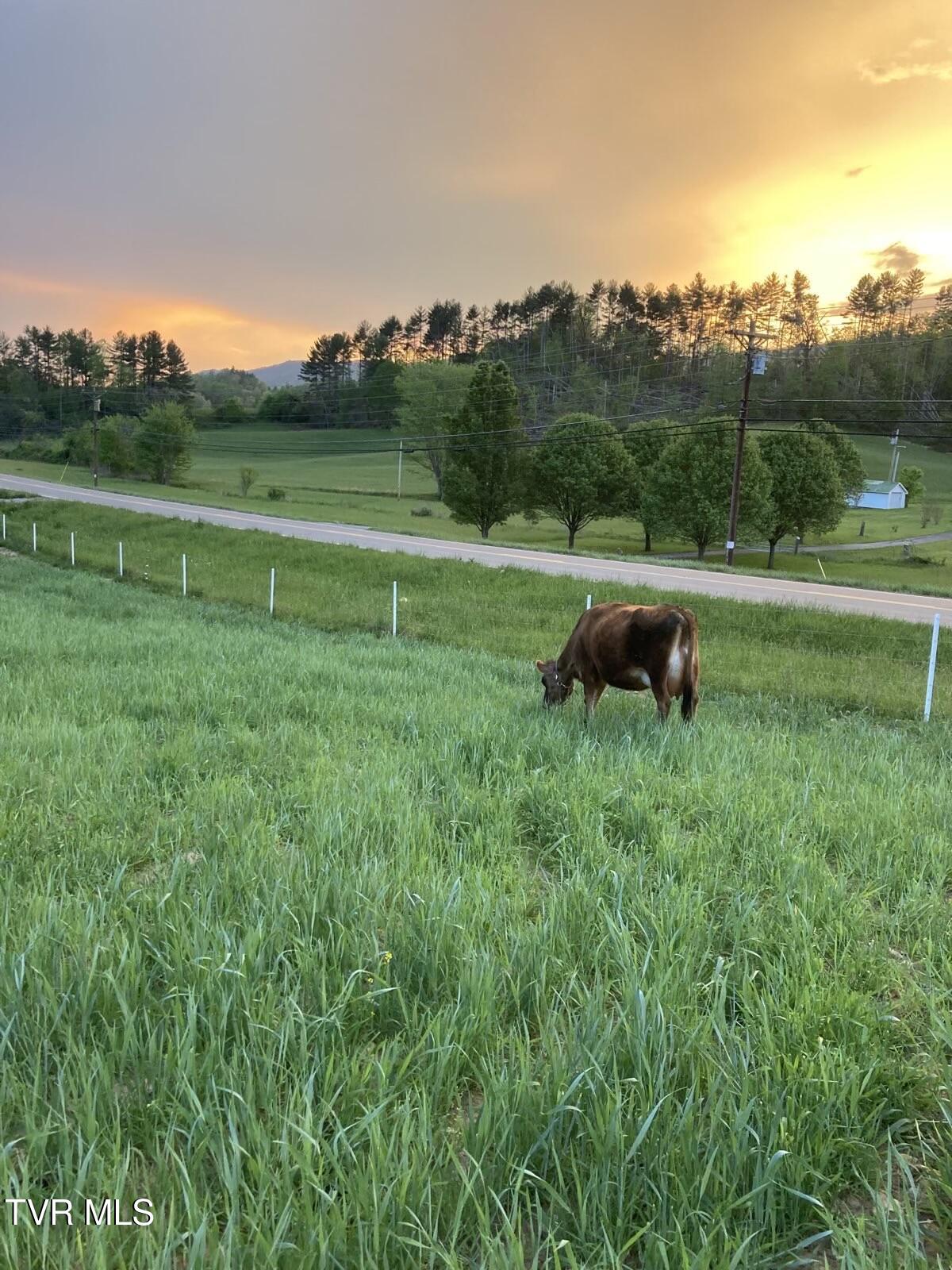 14135 West Highway 67 (30.82 Acres)