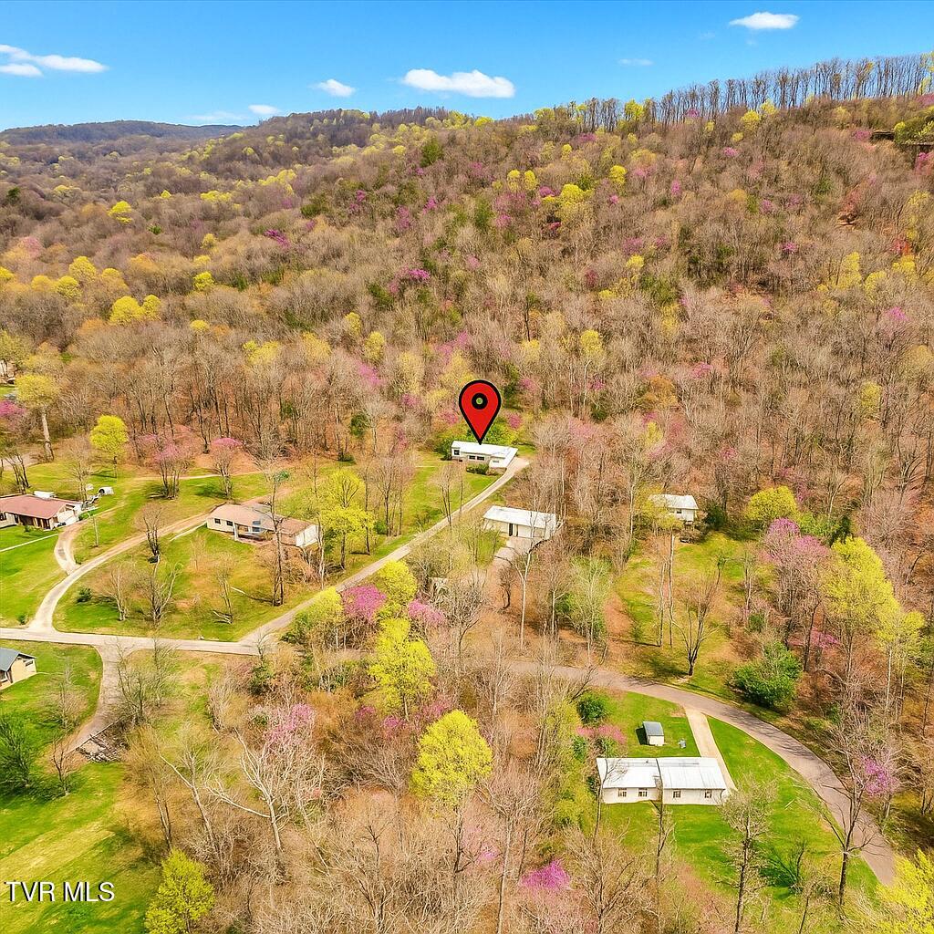 179 Berry Drive, Mooresburg, Tennessee image 21