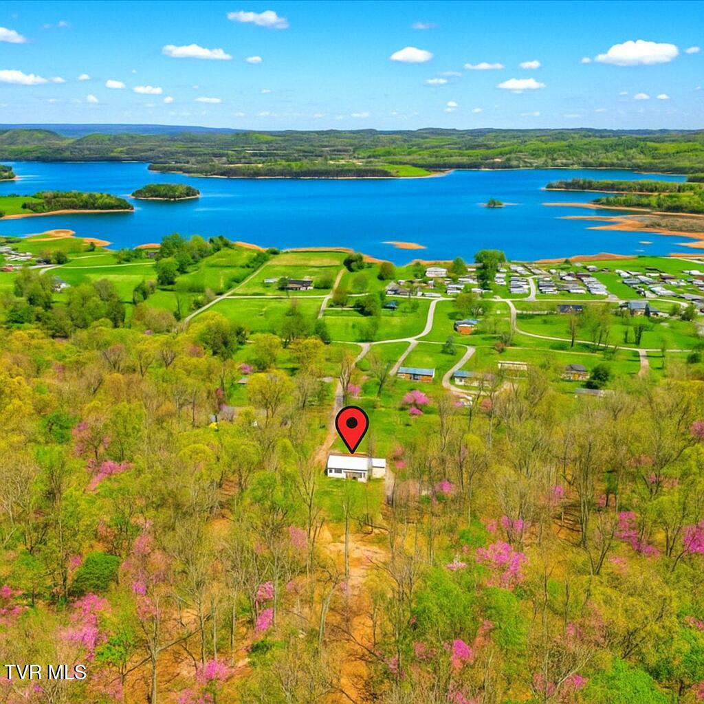 179 Berry Drive, Mooresburg, Tennessee image 3