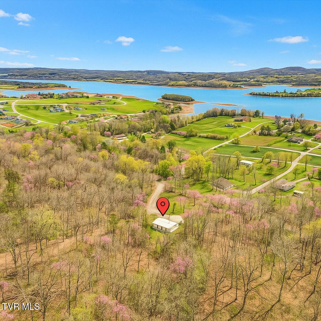 179 Berry Drive, Mooresburg, Tennessee image 22