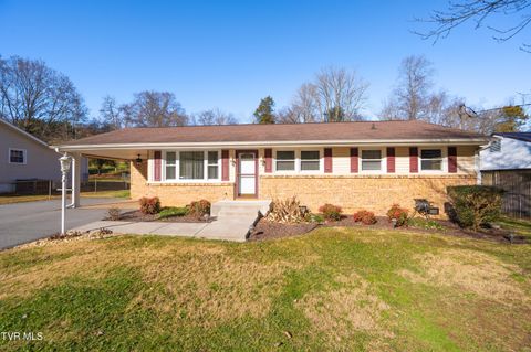 Photo of 361 Woodcrest Drive, Kingsport, TN 37663 (MLS # 9989303)