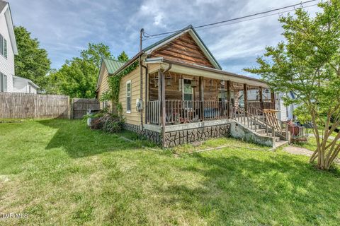 Photo of 1131 Hill Street, Bristol, TN 37620 (MLS # 9994742)