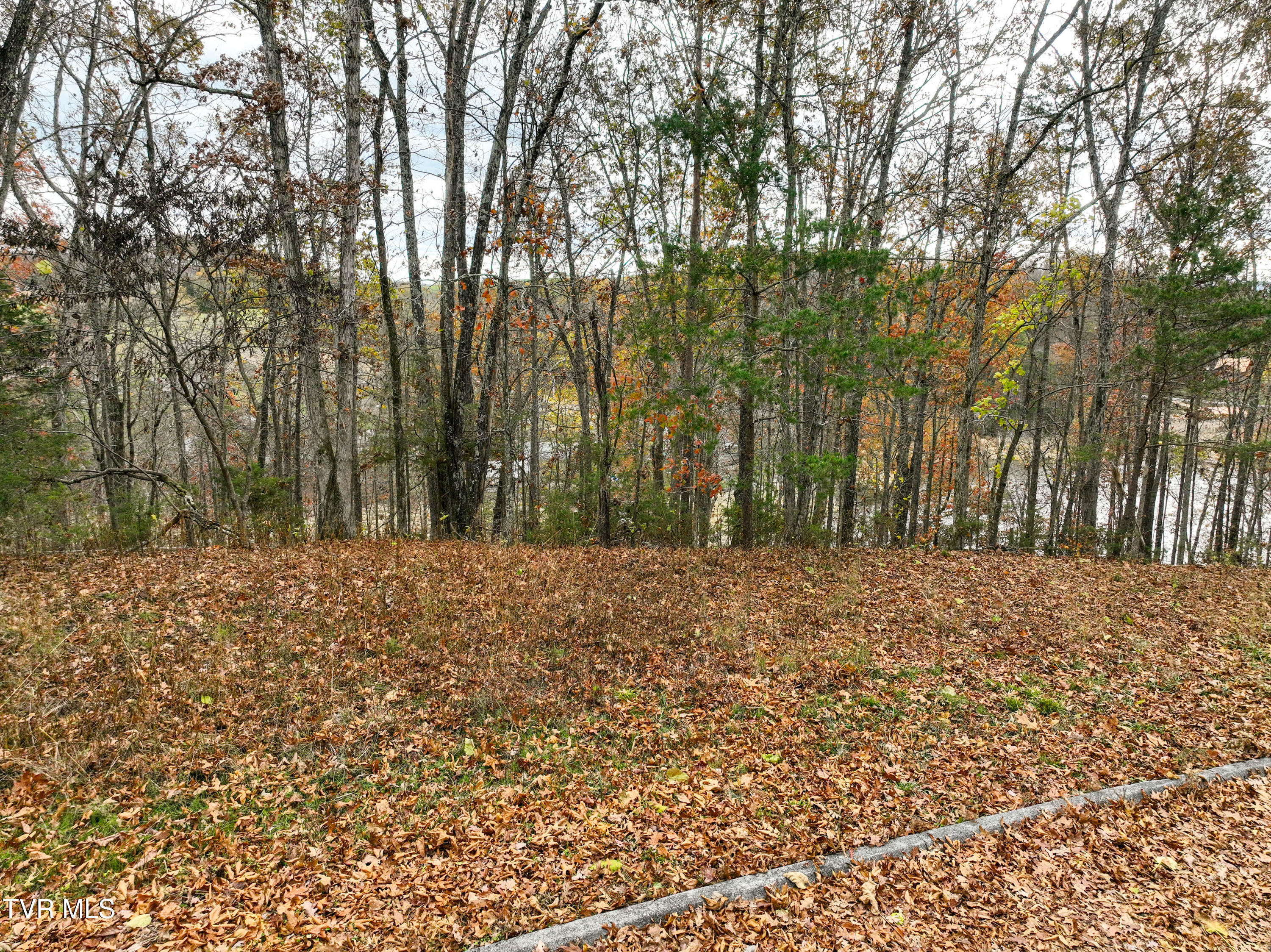 121 Pointe Drive, Piney Flats, Tennessee image 5