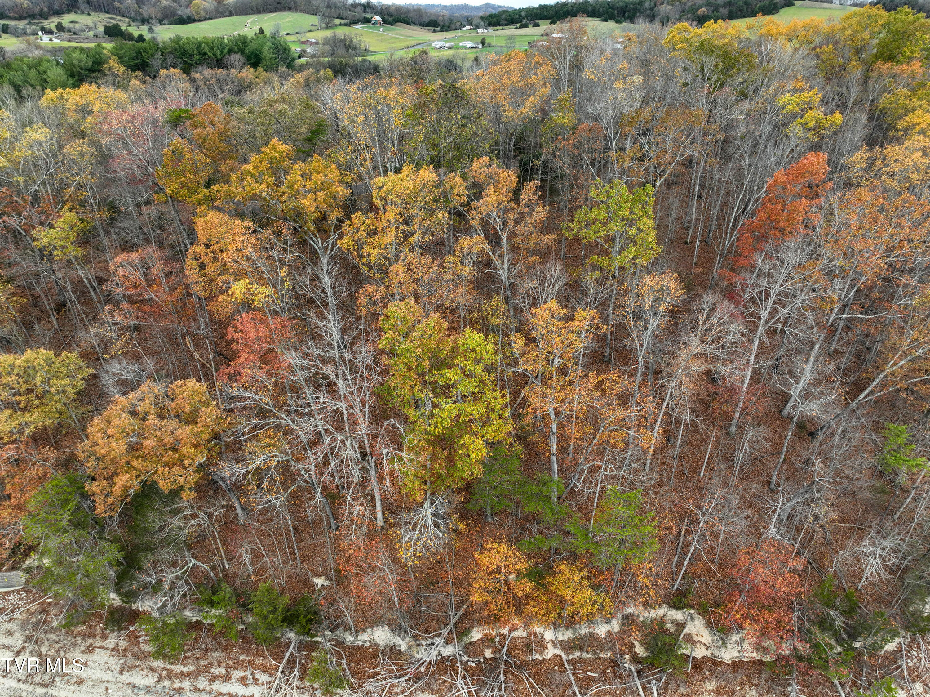 121 Pointe Drive, Piney Flats, Tennessee image 16