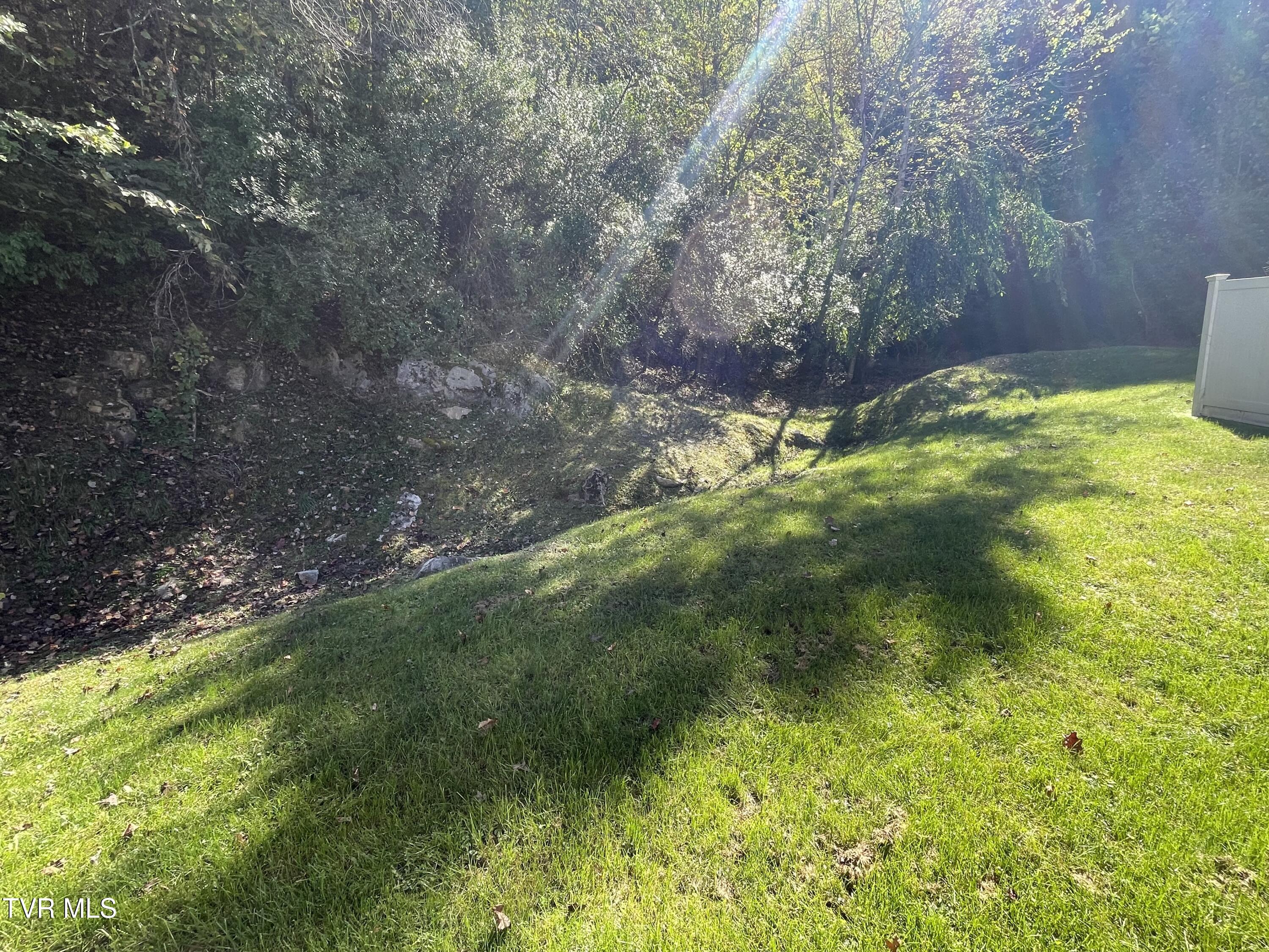 251 Cresswood Drive, Richlands, Virginia image 19