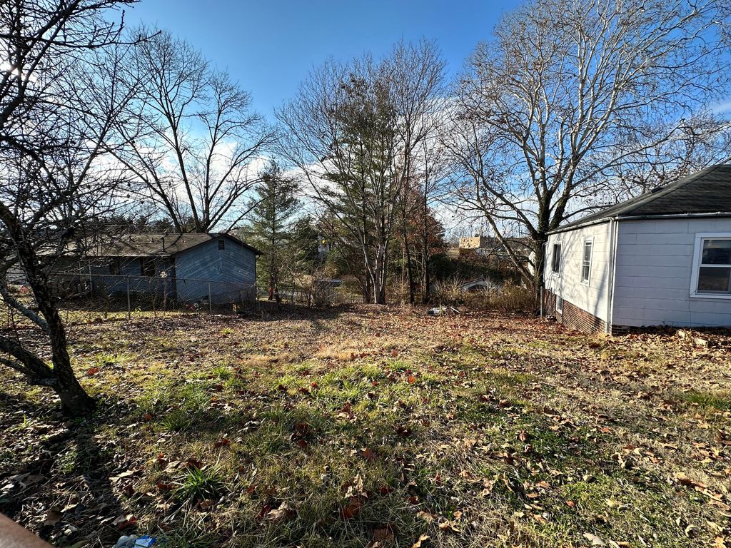 Photo of 409 Rose Street, Kingsport, TN 37660 (MLS # 9959969)