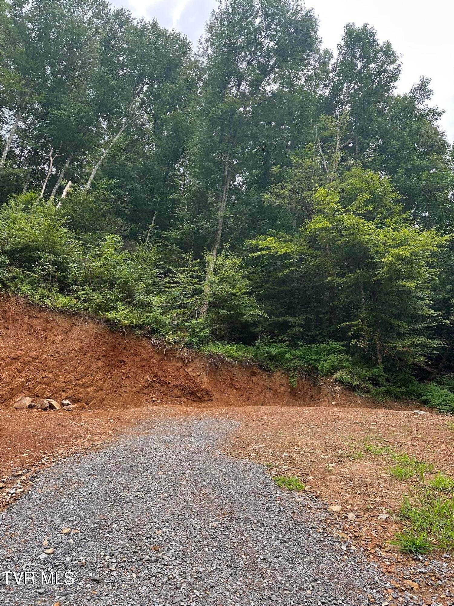 000 Old Highway Road - Photo 4