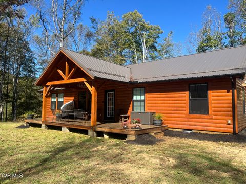 1575 Rice Creek Road Flag Pond TN 37657