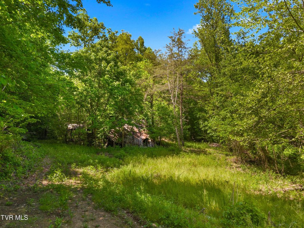 Photo of 1243 Brandon Hollow Lane, Bulls Gap, TN 37711 (MLS # 9994880)