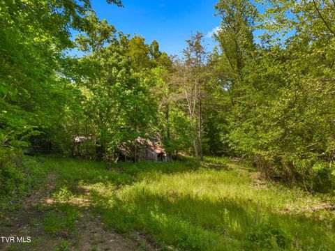 1243 Brandon Hollow Lane Bulls Gap TN 37711