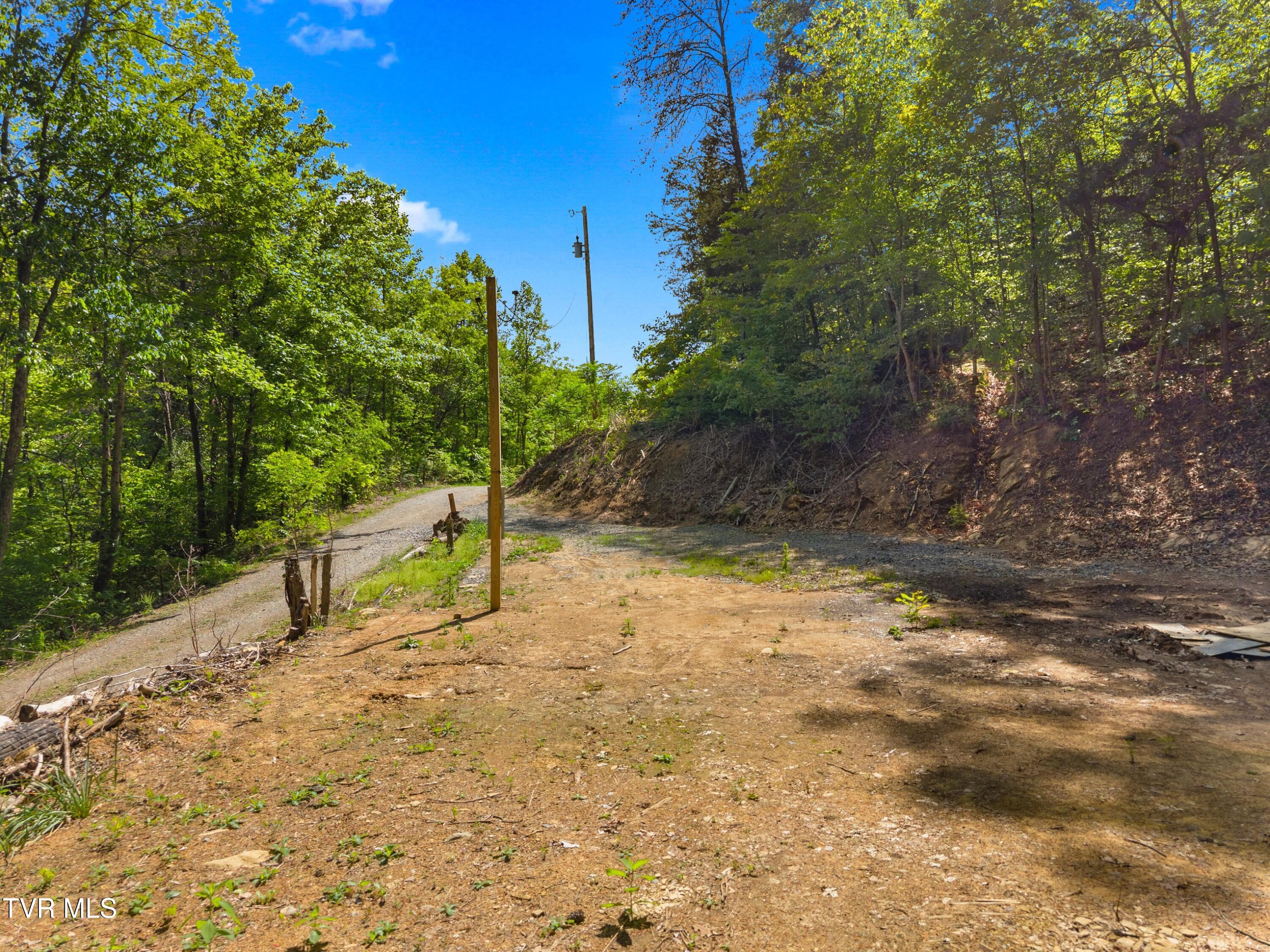 1243 Brandon Hollow Lane