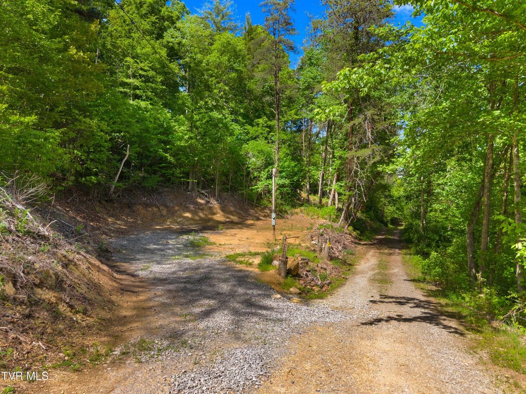 Photo of 1243 Brandon Hollow Lane, Bulls Gap, TN 37711 (MLS # 9994880)