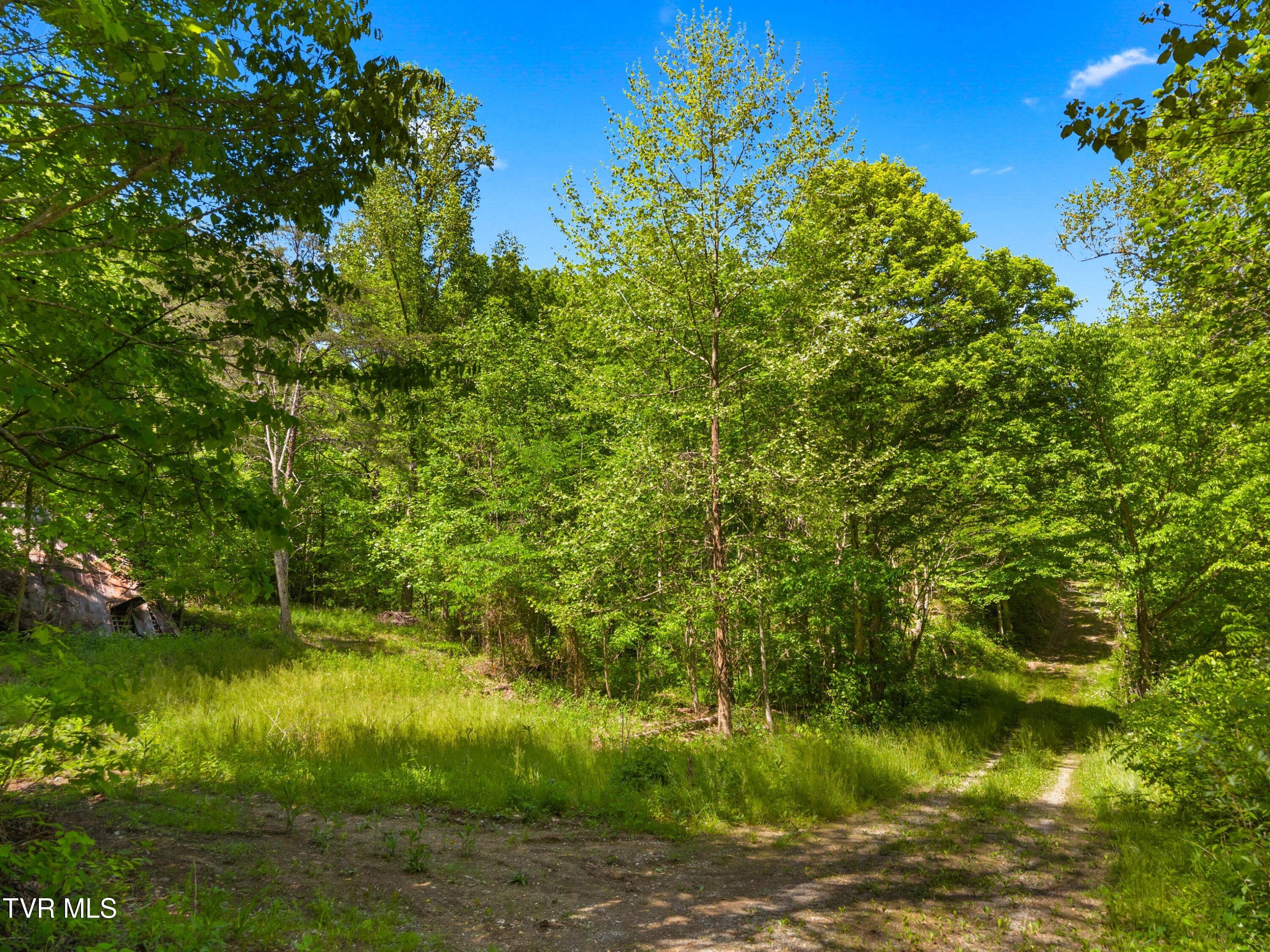 1243 Brandon Hollow Lane