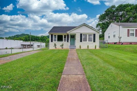 Photo of 2505 Catherine Street, Bristol, VA 24201 (MLS # 9995323)