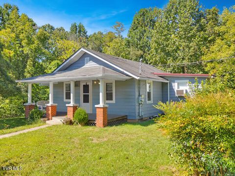 Photo of 313 Richards Lane, Bluff City, TN 37618 (MLS # 9995076)