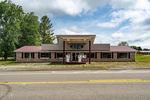 Photo of 9854 Highway 421 N, Shady Valley, TN 37688 (MLS # 9995699)