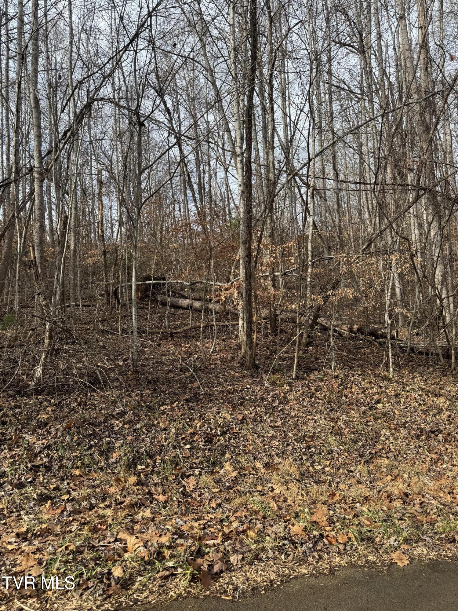 Golf Course Road, Unicoi, Tennessee image 2