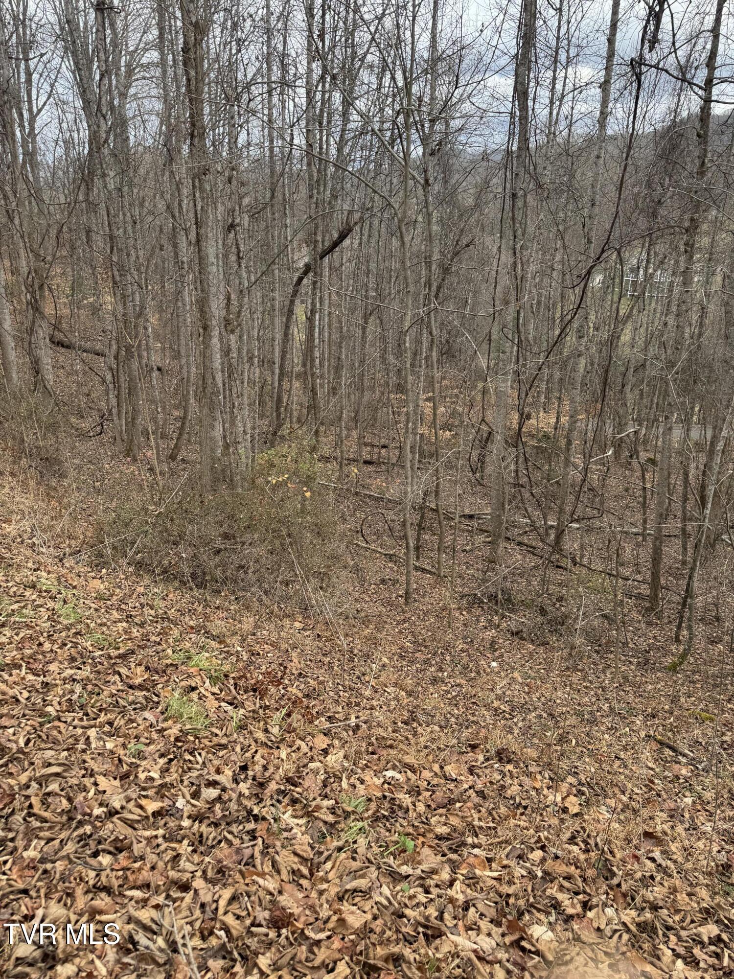 Golf Course Road, Unicoi, Tennessee image 3