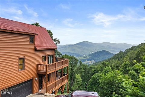 Photo of 4014 Callalantee Drive, Mountain City, TN 37683 (MLS # 9993243)
