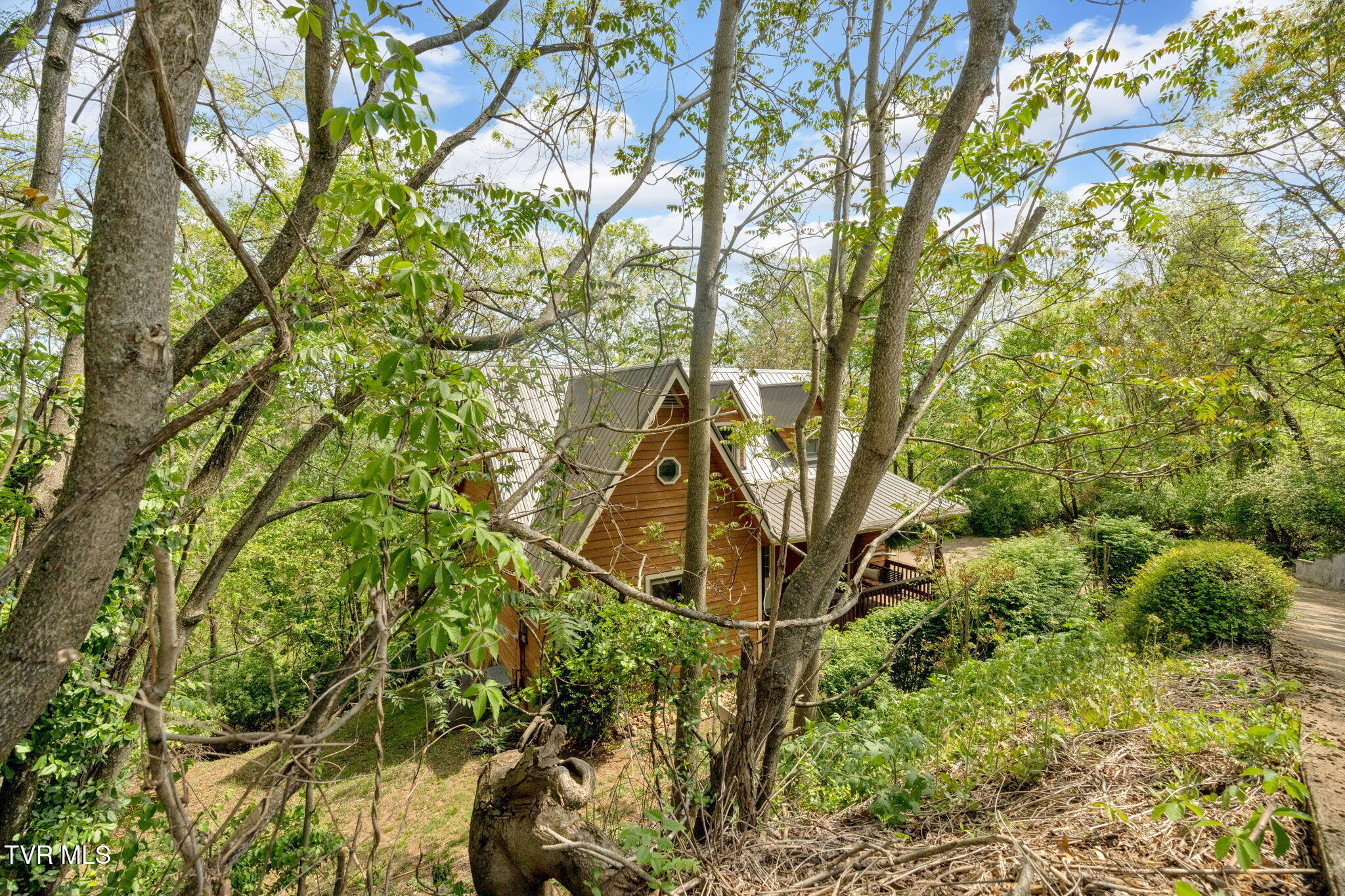3943 Bagwell Street, Kingsport, Tennessee image 30