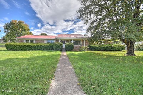 Photo of 219 Tall Timbers Drive, Bristol, VA 24201 (MLS # 9986468)