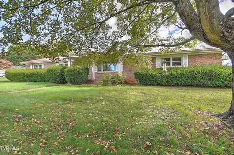 Tiny photo for 219 Tall Timbers Drive, Bristol, VA 24201 (MLS # 9986468)