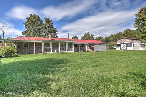 Tiny photo for 219 Tall Timbers Drive, Bristol, VA 24201 (MLS # 9986468)