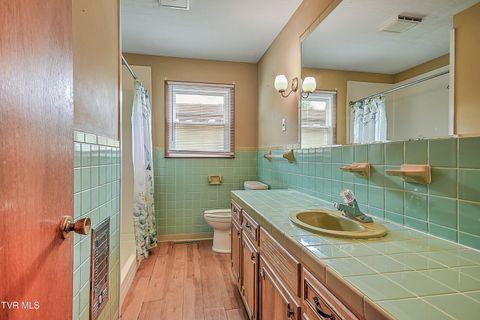 Tiny photo for 219 Tall Timbers Drive, Bristol, VA 24201 (MLS # 9986468)