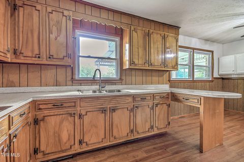 Tiny photo for 219 Tall Timbers Drive, Bristol, VA 24201 (MLS # 9986468)